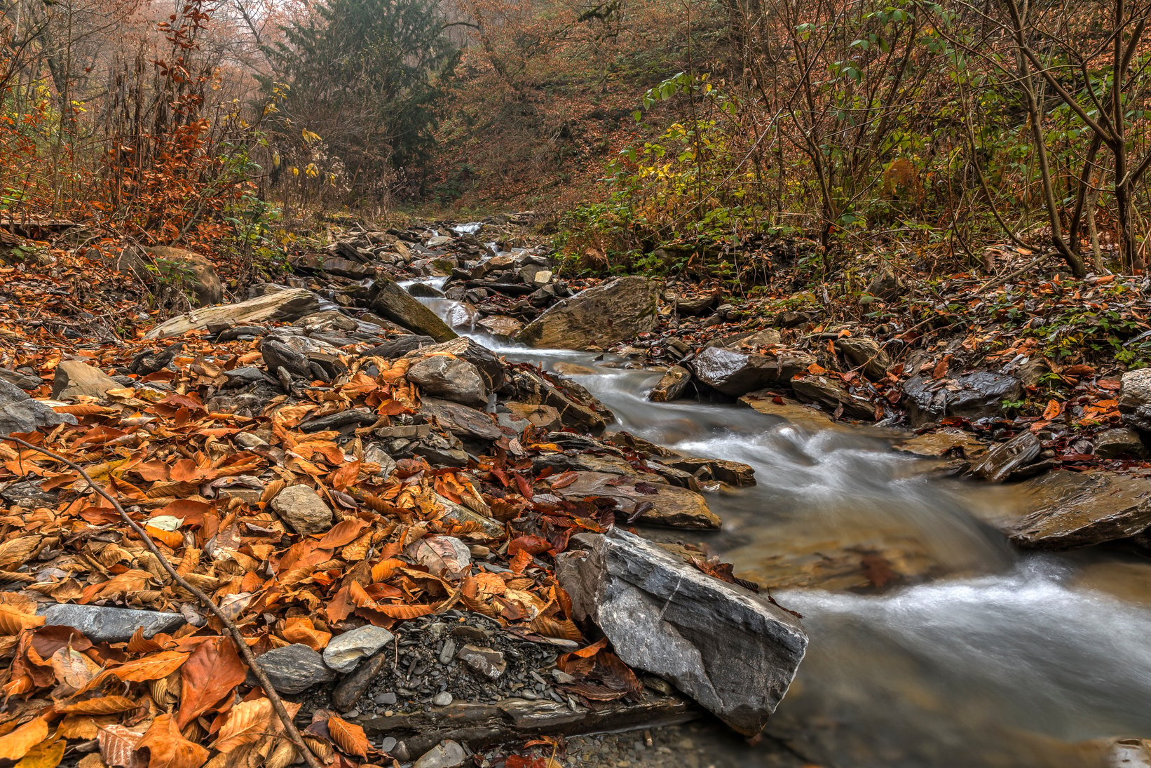 Mountain River.Gabala.Vandam.Azerbaijan